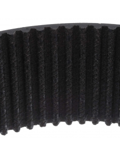 Correa dentada 3387081 2